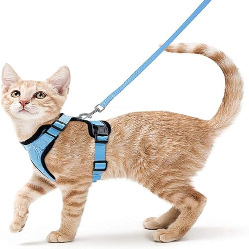 Pet Supplies Atmungsaktives Brustgeschirr für Katzen und Katzen, reflektierend, Anti-Ausreißen, Spazierengehen, Katzenleine, kleine Hunde Pet Supplies Atmungsaktives Brustgeschirr für Katzen und Katzen, reflektierend, Anti-Ausreißen, Spazierengehen, Katzenleine, kleine Hunde von KMXMINOZY