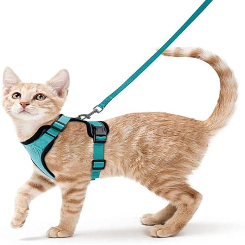 Pet Supplies Atmungsaktives Brustgeschirr für Katzen und Katzen, reflektierend, Anti-Ausreißen, Spazierengehen, Katzenleine, kleine Hunde Pet Supplies Atmungsaktives Brustgeschirr für Katzen und Katzen, reflektierend, Anti-Ausreißen, Spazierengehen, Katzenleine, kleine Hunde von KMXMINOZY