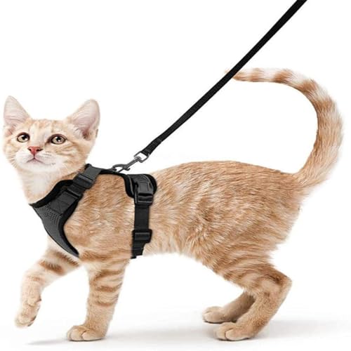Pet Supplies Atmungsaktives Brustgeschirr für Katzen und Katzen, reflektierend, Anti-Ausreißen, Spazierengehen, Katzenleine, kleine Hunde Pet Supplies Atmungsaktives Brustgeschirr für Katzen und Katzen, reflektierend, Anti-Ausreißen, Spazierengehen, Katzenleine, kleine Hunde von KMXMINOZY