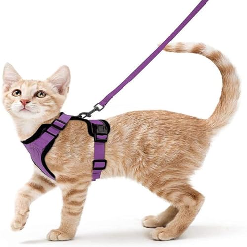 Pet Supplies Brustgeschirr für Katzen und Katzen, atmungsaktiv, reflektierend, reißfest, Leine für kleine Katzen Pet Supplies Brustgeschirr für Katzen und Katzen, atmungsaktiv, reflektierend, reißfest, Leine für kleine Katzen von KMXMINOZY