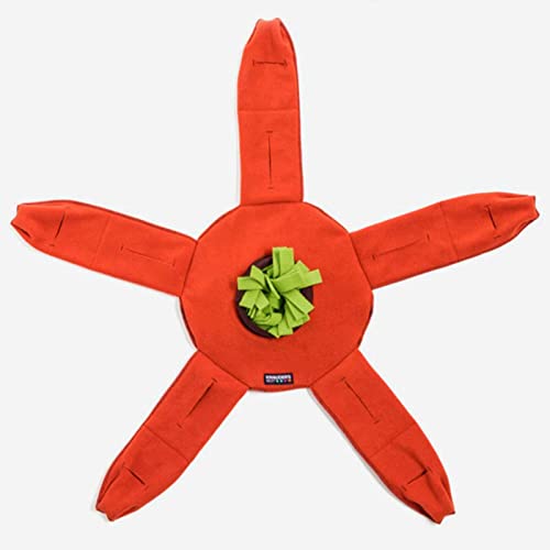 KNAUDERS Best Sniffstar - Von einfach bis knifflig - von Knauder's Best KNAUDERS Best Sniffstar - Von einfach bis knifflig - von Knauder's Best von KNAUDER´S BEST