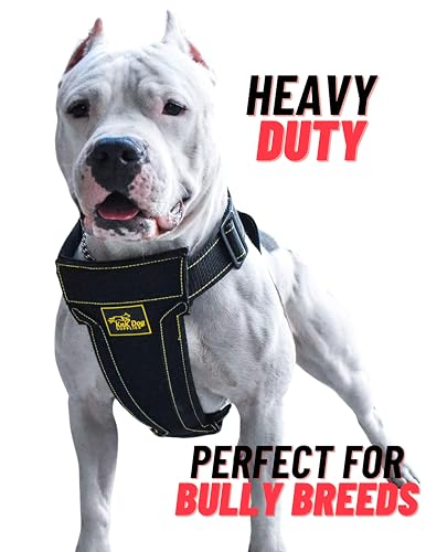Dog Vest Harness Padded Adjustable Heavy Duty Attachment Links Strong Dog Harness Step in Dog Harness Large Dogs Sturdy Enough for Any Breed | Pitbull Boxer Husky Rottweiler Belgian Malinois Bulldog Dog Vest Harness Padded Adjustable Heavy Duty Attachment Links Strong Dog Harness Step in Dog Harness Large Dogs Sturdy Enough for Any Breed | Pitbull Boxer Husky Rottweiler Belgian Malinois Bulldog von KNK