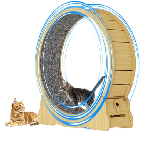 KOAVAE 100cm Laufrad für Katzen, Großes Laufrad für Katzen, Leises Katzenrad, Katzenspielzeug, katzenlaufrad, Katzenspielzeug für Innenbereich KOAVAE 100cm Laufrad für Katzen, Großes Laufrad für Katzen, Leises Katzenrad, Katzenspielzeug, katzenlaufrad, Katzenspielzeug für Innenbereich von KOAVAE