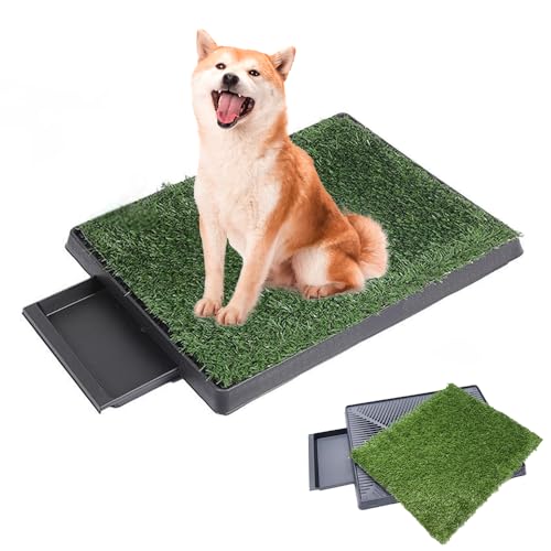 KOAVAE Hundetoilette Wohnung Balkon Indoor/Outdoor für Hunde ältere, Kleine Mittelgroß Hunde, Toilette Töpfchentrainingsmatte Mit Kunstrasen 63x51cm, Hundetoilette, Hundetöpfchen Töpfchenauflage KOAVAE Hundetoilette Wohnung Balkon Indoor/Outdoor für Hunde ältere, Kleine Mittelgroß Hunde, Toilette Töpfchentrainingsmatte Mit Kunstrasen 63x51cm, Hundetoilette, Hundetöpfchen Töpfchenauflage von KOAVAE
