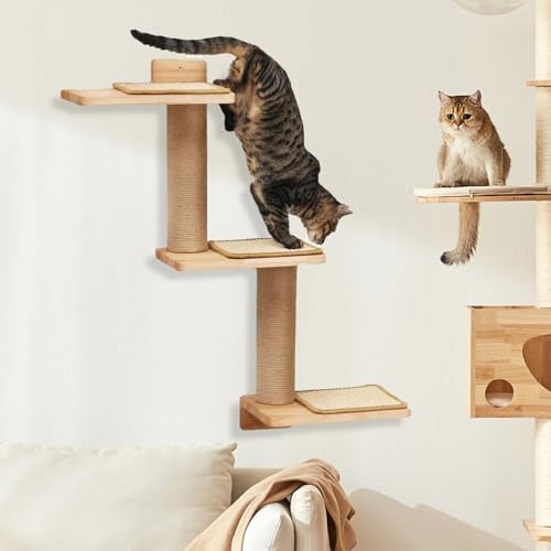 KOAVAE Klein Katzen Kratzbaum, Sisalstämme, Kletterwand Katzen, Wandregale aus Massives, Kletterbaum für Katzen Höhe 71 cm, Katzenspielzeug, Höhle, Kratzbaum Stabiler für Katzen Klettern, Spielen KOAVAE Klein Katzen Kratzbaum, Sisalstämme, Kletterwand Katzen, Wandregale aus Massives, Kletterbaum für Katzen Höhe 71 cm, Katzenspielzeug, Höhle, Kratzbaum Stabiler für Katzen Klettern, Spielen von KOAVAE