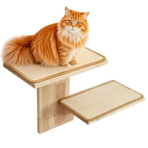 KOAVAE Kletterwand Katzen Set mit 2 Plattform, Katzenmöbel aus Holz, Katzentreppe zum Schlafen, Spielen und Klettern, Katzenhaus, Katzenwohnung, Tragkraft: 20kg KOAVAE Kletterwand Katzen Set mit 2 Plattform, Katzenmöbel aus Holz, Katzentreppe zum Schlafen, Spielen und Klettern, Katzenhaus, Katzenwohnung, Tragkraft: 20kg von KOAVAE
