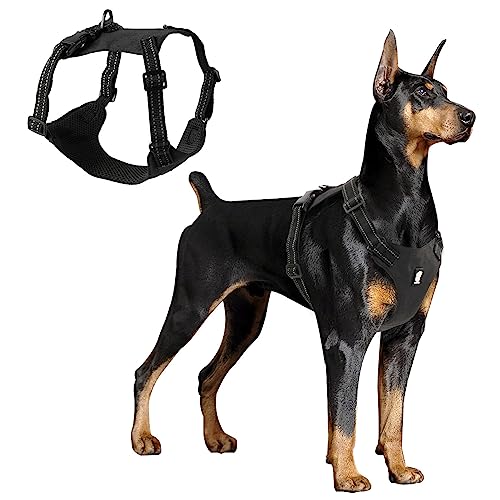 KOCAN Hundegeschirr, reflektierende, verstellbare, leichte Weste aus Mesh für kleine, mittelgroße und große Hunde von KOCAN
