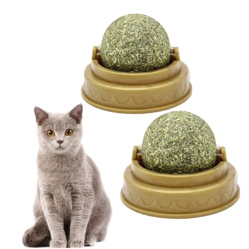 KOCKSHION 2 Stück Katzenminze Ball mit Minzgeschmack Sicherer Kauball zur Zahnpflege Verdauung Spielerischer für Katzen Glatten Oberflächen Langlebiges Material KOCKSHION 2 Stück Katzenminze Ball mit Minzgeschmack Sicherer Kauball zur Zahnpflege Verdauung Spielerischer für Katzen Glatten Oberflächen Langlebiges Material von KOCKSHION