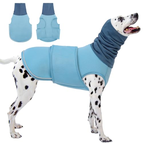 KOESON Beruhigender Kapuzenpullover für Hunde, Donnerjacke mit Ohrwickel, atmungsaktive Hunde-Angstweste für Donner, Feuerwerk, Reisen, Trennung, Komfort, Haustier-Angstlinderung, Hellblau, 3XL KOESON Beruhigender Kapuzenpullover für Hunde, Donnerjacke mit Ohrwickel, atmungsaktive Hunde-Angstweste für Donner, Feuerwerk, Reisen, Trennung, Komfort, Haustier-Angstlinderung, Hellblau, 3XL von KOESON