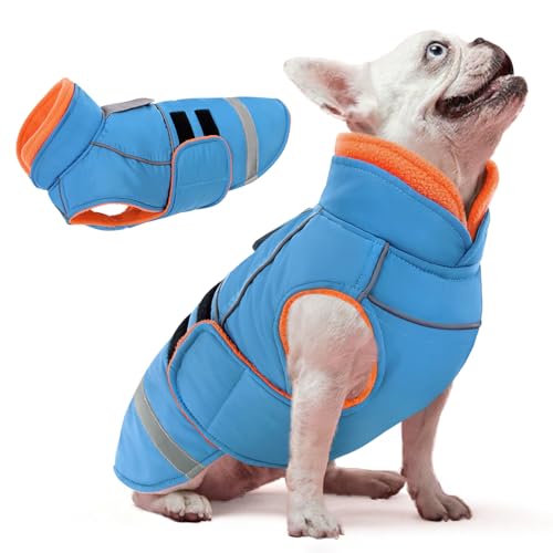 KOESON Hunde-Wintermantel, reflektierend, für kaltes Wetter, mit Loch für die Leine, wasserdichte Schneejacke für Hunde, winddicht, warmes Fleecefutter, Haustierjacken KOESON Hunde-Wintermantel, reflektierend, für kaltes Wetter, mit Loch für die Leine, wasserdichte Schneejacke für Hunde, winddicht, warmes Fleecefutter, Haustierjacken von KOESON