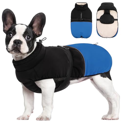 KOESON Kleiner Hundemantel, warme Hunde-Winterjacke mit verstellbarer Schnalle, Rollkragen-Hundejacke, Fleece-Hunde-Wintermäntel für kaltes Wetter, reflektierende Hundemäntel, Schnee-Jacke für kleine KOESON Kleiner Hundemantel, warme Hunde-Winterjacke mit verstellbarer Schnalle, Rollkragen-Hundejacke, Fleece-Hunde-Wintermäntel für kaltes Wetter, reflektierende Hundemäntel, Schnee-Jacke für kleine von KOESON
