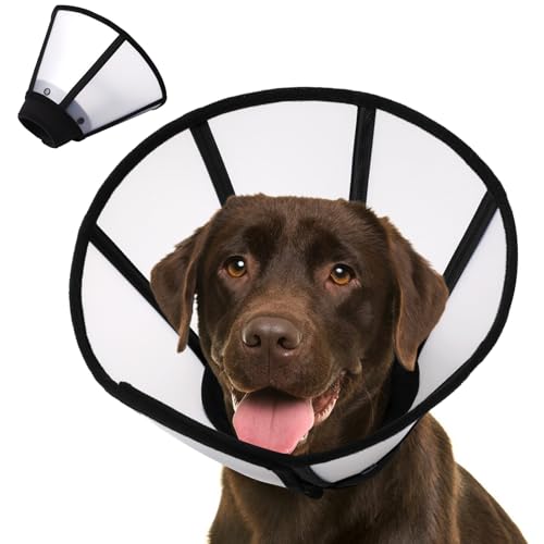 KOESON Weiches Hundehalsband nach Operationen, abnehmbarer Kunststoffkegel und gepolsterter Halsschutz, um Lecken zu stoppen, Genesung, elisabethanisches Halsband für kleine, mittelgroße und große KOESON Weiches Hundehalsband nach Operationen, abnehmbarer Kunststoffkegel und gepolsterter Halsschutz, um Lecken zu stoppen, Genesung, elisabethanisches Halsband für kleine, mittelgroße und große von KOESON