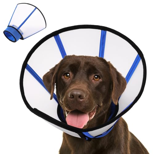 KOESON Weiches Hundehalsband nach Operationen, abnehmbarer Kunststoffkegel und gepolsterter Halsschutz, um Lecken zu stoppen, Genesung, elisabethanisches Halsband für kleine, mittelgroße und große KOESON Weiches Hundehalsband nach Operationen, abnehmbarer Kunststoffkegel und gepolsterter Halsschutz, um Lecken zu stoppen, Genesung, elisabethanisches Halsband für kleine, mittelgroße und große von KOESON