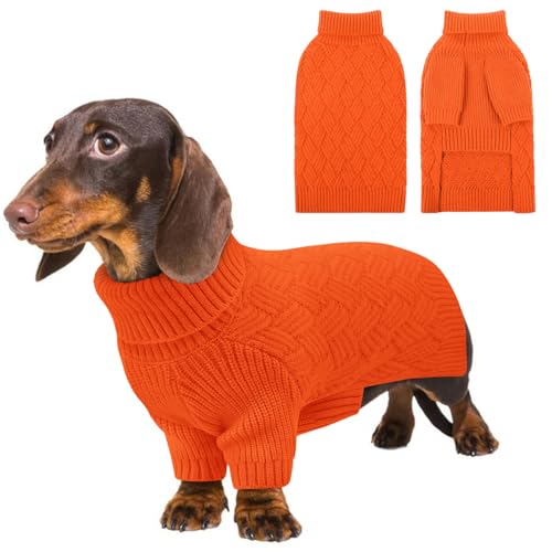KOESON XS Hundepullover, dicker kleiner Hundepullover für weibliche Männer, Weihnachtspullover, warmer Welpenpullover für Teetasse, Yorkie, Chihuahua, Grün, XS KOESON XS Hundepullover, dicker kleiner Hundepullover für weibliche Männer, Weihnachtspullover, warmer Welpenpullover für Teetasse, Yorkie, Chihuahua, Grün, XS von KOESON