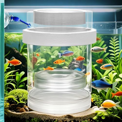 Fischzuchtbox, Isolationsbox, Trennwand für Aquarium, Brutkasten mit Saugnäpfen für kleine Babyfische, Garnelen, Clownfische, Guppy Fischzuchtbox, Isolationsbox, Trennwand für Aquarium, Brutkasten mit Saugnäpfen für kleine Babyfische, Garnelen, Clownfische, Guppy von KOHUDIS