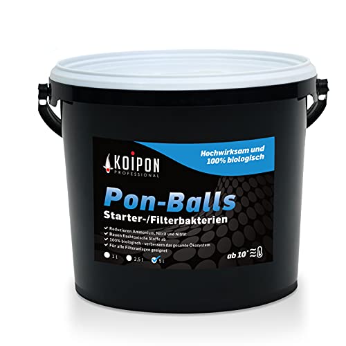KOIPON Pon-Balls 5L Filterstarter | Nitrifizierende Bakterien & Mikroorganismen | Teichstarter | Teichbakterien zur Teichpflege von Gartenteich, Fischteich, Schwimmteich | Filterbakterien-Gelkugeln von KOIPON