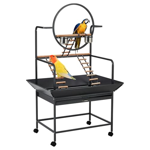 Pet Products Papageien-Spielständer mit Rädern, Vogelkäfigständer, Aktivitätsspielzentrum mit Sitzstangen und Leitern, Spielplatz für drinnen und draußen, für Vögel, schwarzes Hammer-Finish Pet Products Papageien-Spielständer mit Rädern, Vogelkäfigständer, Aktivitätsspielzentrum mit Sitzstangen und Leitern, Spielplatz für drinnen und draußen, für Vögel, schwarzes Hammer-Finish von KOKEBREN