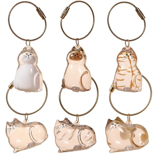 KOLGEIKJ 6 Stück Schlüsselanhänger mit Katzenhaar, Transparente Katzenhaar Aufbewahrungsbox, Katzen-Schlüsselanhänger, einzigartiges Haustier Gedenk Katzen Schlüsselanhänger für Hunde Katzen (A) von KOLGEIKJ