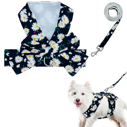 Hundegeschirr, Westen-Set für kleine Mädchen, Hunde mit D-Ring, weich, bequem, Netzgewebe, Hundegeschirrweste, Haustier-Gänseblümchen, Fliege für kleine, mittelgroße und große Hunde (Dunkelblau, XS) Hundegeschirr, Westen-Set für kleine Mädchen, Hunde mit D-Ring, weich, bequem, Netzgewebe, Hundegeschirrweste, Haustier-Gänseblümchen, Fliege für kleine, mittelgroße und große Hunde (Dunkelblau, XS) von KOLODOGO