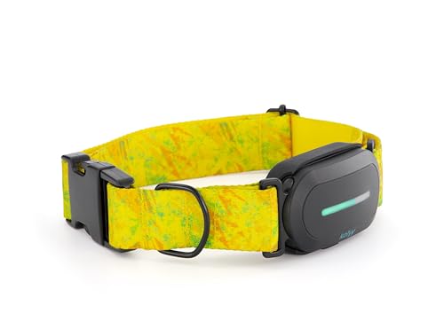 Kolyy GPS-Halsband für Hunde, Kontrolle über App, internationale Echtzeitlokalisierung, Gesundheit und Überwachung – bis zu 3 sichere Zonen – Abonnement erforderlich – hergestellt in Spanien – Größe Kolyy GPS-Halsband für Hunde, Kontrolle über App, internationale Echtzeitlokalisierung, Gesundheit und Überwachung – bis zu 3 sichere Zonen – Abonnement erforderlich – hergestellt in Spanien – Größe von KOLYY