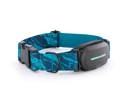 Kolyy GPS-Halsband für Hunde, Steuerung über App, internationale Echtzeitlokalisierung – Gesundheit und Überwachung – bis zu 3 sichere Zonen – Abonnement erforderlich – hergestellt in Spanien – Größe Kolyy GPS-Halsband für Hunde, Steuerung über App, internationale Echtzeitlokalisierung – Gesundheit und Überwachung – bis zu 3 sichere Zonen – Abonnement erforderlich – hergestellt in Spanien – Größe von KOLYY