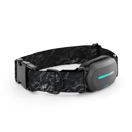 Kolyy Series 2 GPS-Halsband für Hunde, Steuerung über App, internationale Echtzeitlokalisierung, Gesundheitsüberwachung, 3 sichere Zonen, hergestellt in Spanien (Schwarz, M) von KOLYY
