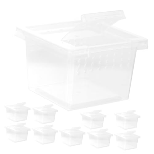 KOMBIUDA 10 Stück Transparente Reptilien Aufzuchtbox mit Belüftungslöchern Langlebige Kunststoff Fütterungsbox für Spinnen Eidechsen Geckos und Insekten Praktisches Terrarium Zubehör für von KOMBIUDA