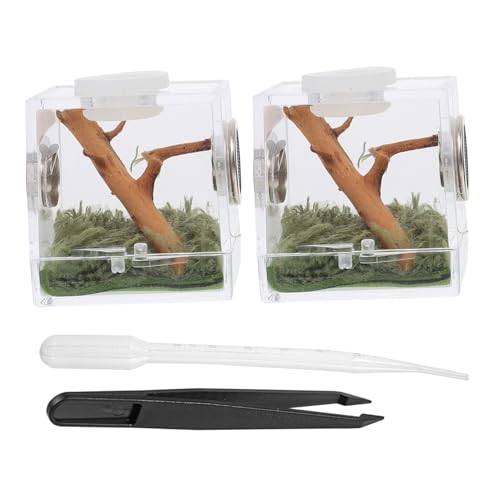 KOMBIUDA 2 Satz Kleines Spinnen Habitat Box mit Belüftungslöchern Transparenter Zuchtbehälter für Springspinnen Insekten und Kleine Haustiere zur Fütterung und Transport Teiliges KOMBIUDA 2 Satz Kleines Spinnen Habitat Box mit Belüftungslöchern Transparenter Zuchtbehälter für Springspinnen Insekten und Kleine Haustiere zur Fütterung und Transport Teiliges von KOMBIUDA