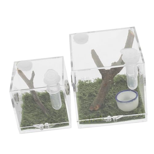 KOMBIUDA 2 Stück Acryl Spinnen Aufzuchtbox mit Futteröffnung Stabiles Insekten Terrarium für Springspinnen Vogelspinnen Kleine Reptilien und Insekten Durchsichtig Langlebig Geeignet für KOMBIUDA 2 Stück Acryl Spinnen Aufzuchtbox mit Futteröffnung Stabiles Insekten Terrarium für Springspinnen Vogelspinnen Kleine Reptilien und Insekten Durchsichtig Langlebig Geeignet für von KOMBIUDA