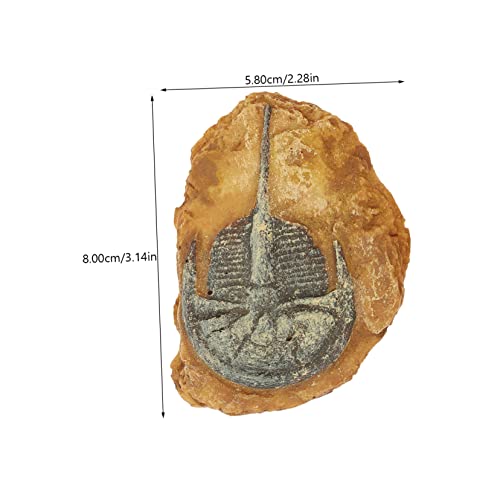 KOMBIUDA 2 Stück Teiliges Terrarium Reptilien Landschaft mit Detailgetreuem Fossil Design Robustes Harz Geruchsneutral Vielseitig für Schlangen Eidechsen und Schildkrötengehege Natürliches von KOMBIUDA