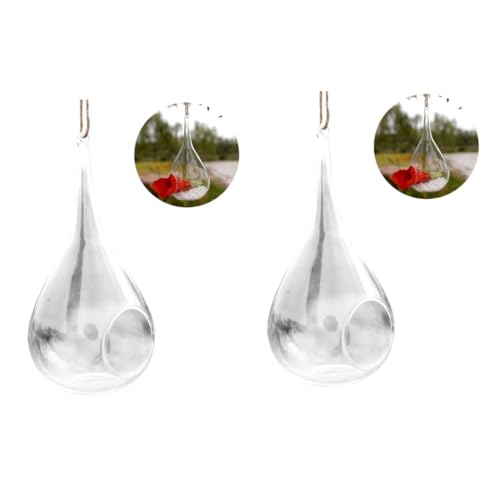 KOMBIUDA 2 Stücke Pflanzer Terrarien Hängen Glas Garten Für Wohnkultur Luft KOMBIUDA 2 Stücke Pflanzer Terrarien Hängen Glas Garten Für Wohnkultur Luft von KOMBIUDA