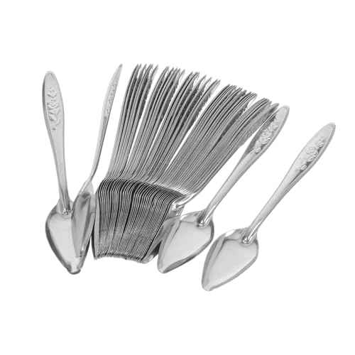 KOMBIUDA 50 Stück Edelstahl Vogel-futterscoop für Papageien Handfütterung Löffel mit Glatter Oberfläche Leicht zu Reinigen für Jungvögel Handaufzucht und Präzises Füttern Kleiner Exoten von KOMBIUDA