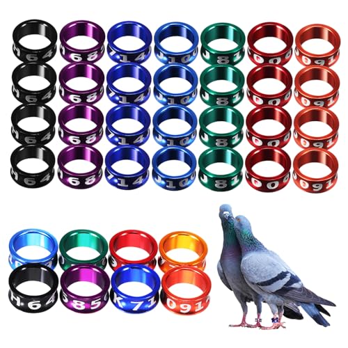 KOMBIUDA 50 Stück Vogelbeinringe Hühnerbeinbänder Taubenringe für Geflügel Bunte Geschlossene Markierungsringe Einfach zu Verwenden für Verschiedene Kleine Tiere Geeignet Zufällige Farbe von KOMBIUDA