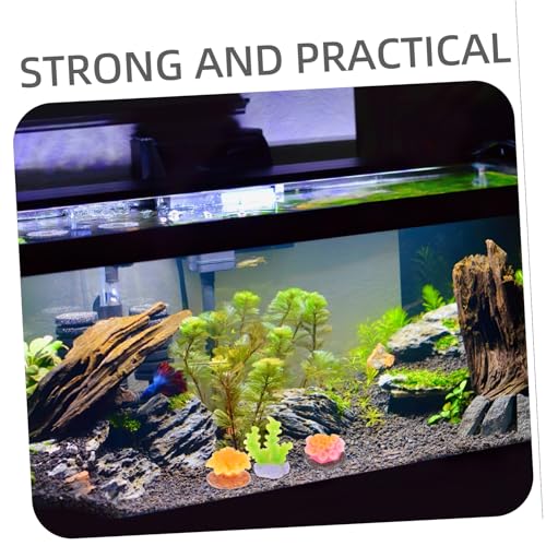 KOMBIUDA 6 Stück Teiliges Kleine Künstliche Korallen Aquarium Deko Realistische Bunte Korallen Nachbildung Leicht Kompakt für Süß Meerwasseraquarien Natürliche Unterwasserlandschaft KOMBIUDA 6 Stück Teiliges Kleine Künstliche Korallen Aquarium Deko Realistische Bunte Korallen Nachbildung Leicht Kompakt für Süß Meerwasseraquarien Natürliche Unterwasserlandschaft von KOMBIUDA