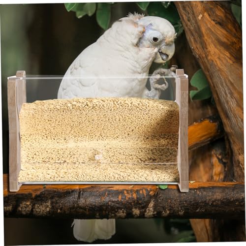 KOMBIUDA Automatischer Futterspender Acryl Futterautomat Rutin Chicken Futterbehälter Langlebig Robust für Papageien Nymphensittiche und Geflügel Praktische Futterstation für von KOMBIUDA