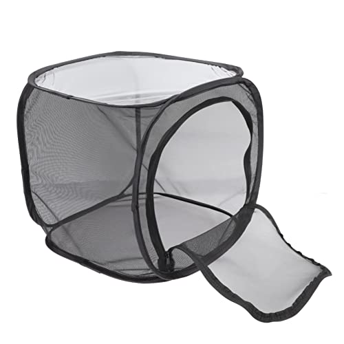 KOMBIUDA Foldable Breeding Cage Für Schmetterlinge Atmungsaktives Beobachtungsnetz Für Insekten Für Erkundung Von Lebenszyklen KOMBIUDA Foldable Breeding Cage Für Schmetterlinge Atmungsaktives Beobachtungsnetz Für Insekten Für Erkundung Von Lebenszyklen von KOMBIUDA