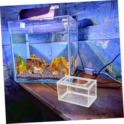 KOMBIUDA Großes Fischnetz Bruthaus mit Saugnäpfen Netzisolationsbox für Aquarium Polyesterrahmen Schützt Jungfische durch Trennung Aggressiver Erhöht Überlebensrate bei Fischaufzucht KOMBIUDA Großes Fischnetz Bruthaus mit Saugnäpfen Netzisolationsbox für Aquarium Polyesterrahmen Schützt Jungfische durch Trennung Aggressiver Erhöht Überlebensrate bei Fischaufzucht von KOMBIUDA