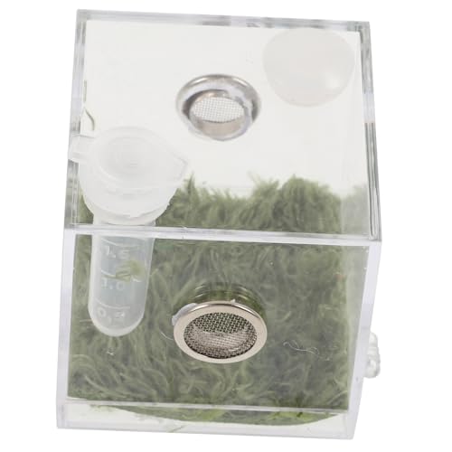 KOMBIUDA Insektenaufzuchtbox mit Fütterungsöffnung Transparentes Terrarium für Springspinnen Grillen Schnecken Kompaktes Reptiliengehäuse Leicht zu Bedienen für Kleine Insekten und von KOMBIUDA