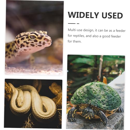 KOMBIUDA Keramik Reptilien Versteck mit Futterstelle Großes Feuchtigkeitsregulierendes Terrarium Höhle für Schlangen Eidechsen Skorpione und Amphibien Dekoratives Versteck und von KOMBIUDA
