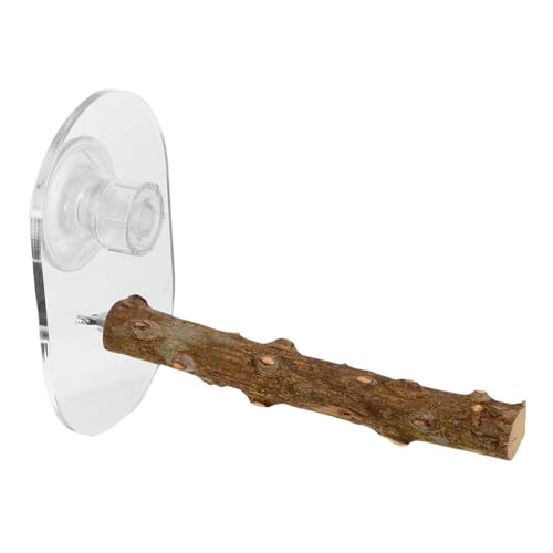 KOMBIUDA Natürliche Holzplattform für Papageien Tragbarer Stand für Fensterkäfige für Kleine und Mittelgroße für Reisen KOMBIUDA Natürliche Holzplattform für Papageien Tragbarer Stand für Fensterkäfige für Kleine und Mittelgroße für Reisen von KOMBIUDA