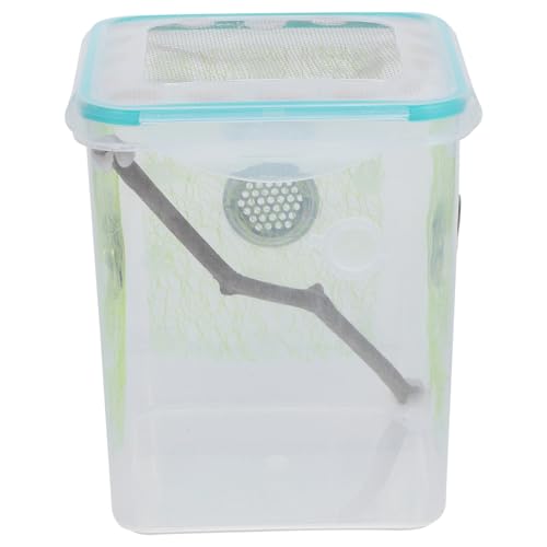 KOMBIUDA Reptilien Fütterungsbox Transparent mit Lüftungslöchern Tragbares Terrarium für Spinnen Gottesanbeterin und Kleine Reptilien Stabile Kunststoff zuchtbox für Zuhause und Büro KOMBIUDA Reptilien Fütterungsbox Transparent mit Lüftungslöchern Tragbares Terrarium für Spinnen Gottesanbeterin und Kleine Reptilien Stabile Kunststoff zuchtbox für Zuhause und Büro von KOMBIUDA