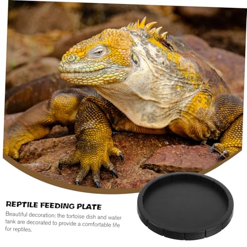 KOMBIUDA Reptilien Wasserschale aus Robustem Abs Kleine Futter und Trinkschale für Schildkröten und Kaninchen Leicht zu Reinigen Tragbar und Langlebig für Terrarien und Haustierhaltung von KOMBIUDA