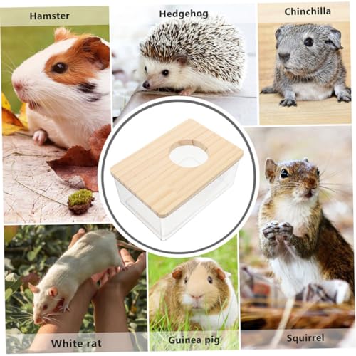 KOMBIUDA Transparente Hamster Sand Bad Box Rechteckiges Badezimmer mit Geschlossenem Design für Kleine Haustiere Streusicher Portabel für Hamster Zwerghamster und Rennmäuse von KOMBIUDA