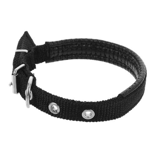 KOMBIUDA Verstellbares Komfortables Haustierhalsband aus Schaumstoff Polyester mit Robustem Legierungsverschluss Niedliches Katzen Hundehalsband für Verschiedene Geeignet für Outdoor und von KOMBIUDA