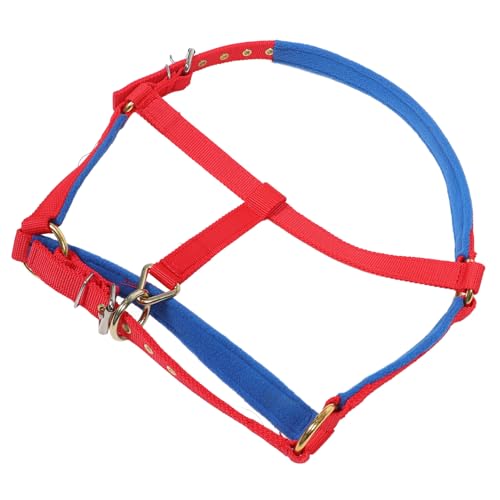 KOMBIUDA Verstellbarer Halfter Für Pferd Reitbedarf Mit Sicheren Gebiss Aus Haltbaren Materialien Für Training Und Reiten KOMBIUDA Verstellbarer Halfter Für Pferd Reitbedarf Mit Sicheren Gebiss Aus Haltbaren Materialien Für Training Und Reiten von KOMBIUDA