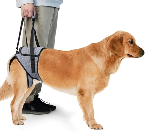 KOMUNJ Hebegeschirr, Hundegeschirr für Hinterbeine, Hilfsgurt für Hunde, Hinterbeine, für ältere und verletzte Hunde,XL von KOMUNJ