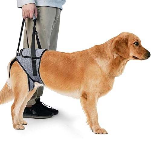 KOMUNJ Hebegeschirr, Hundegeschirr für Hinterbeine, Hilfsgurt für Hunde, Hinterbeine, für ältere und verletzte Hunde,L KOMUNJ Hebegeschirr, Hundegeschirr für Hinterbeine, Hilfsgurt für Hunde, Hinterbeine, für ältere und verletzte Hunde,L von KOMUNJ