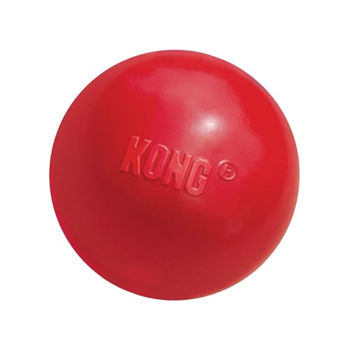 KONG – Ball with Hole – Apportierspielzeug aus Robustem Kautschuk – Für Mittelgroße/Große Hunde von KONG