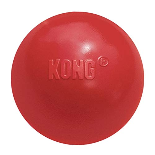 KONG – Ball with Hole – Apportierspielzeug aus Robustem Kautschuk – Für Mittelgroße/Große Hunde von KONG