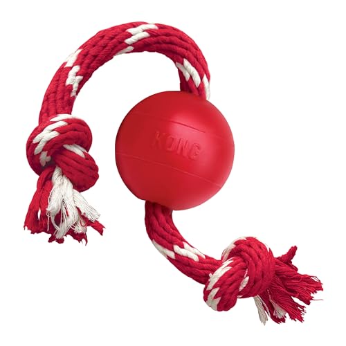 KONG Ball mit Seil - Hundespielzeug mit Seil für einfaches Werfen - Aus strapazierfähigem Naturkautschuk - Für Kleine Hunde - Rot von KONG